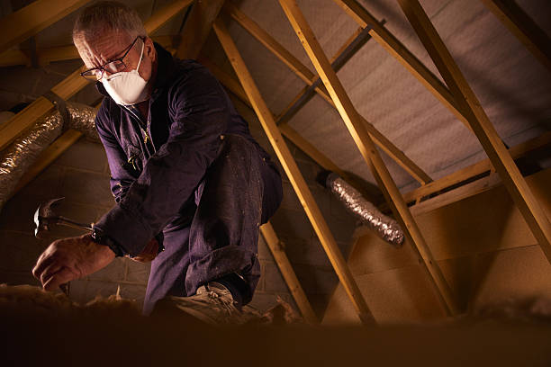 Trusted Crestline, CA Insulation Contractor Experts